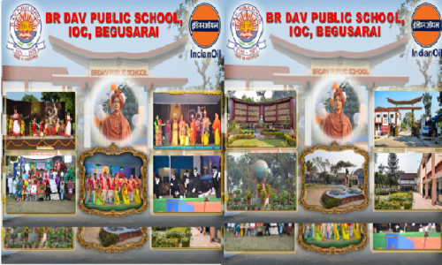 BR DAV PUBLIC SCHOOL